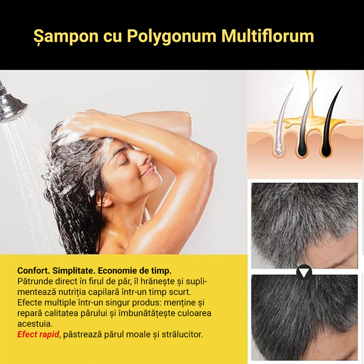 Sampon 3 in 1 ANTI-ÎNCĂRUNȚIRE formula noua 2025